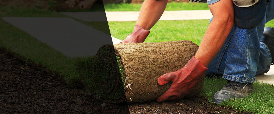 Wabasso Landscapers